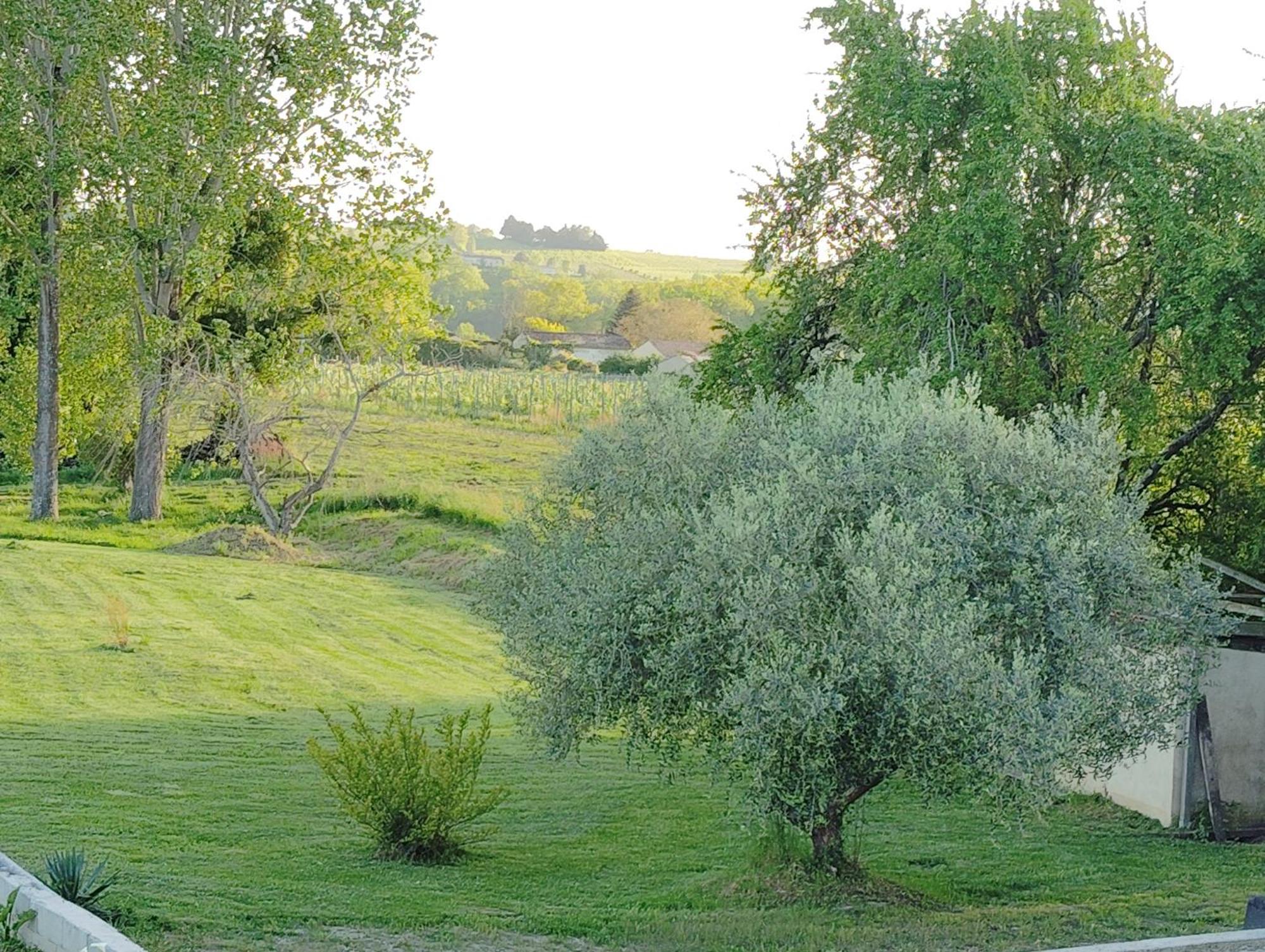 Gite L'Edenwine Doulezon Екстериор снимка