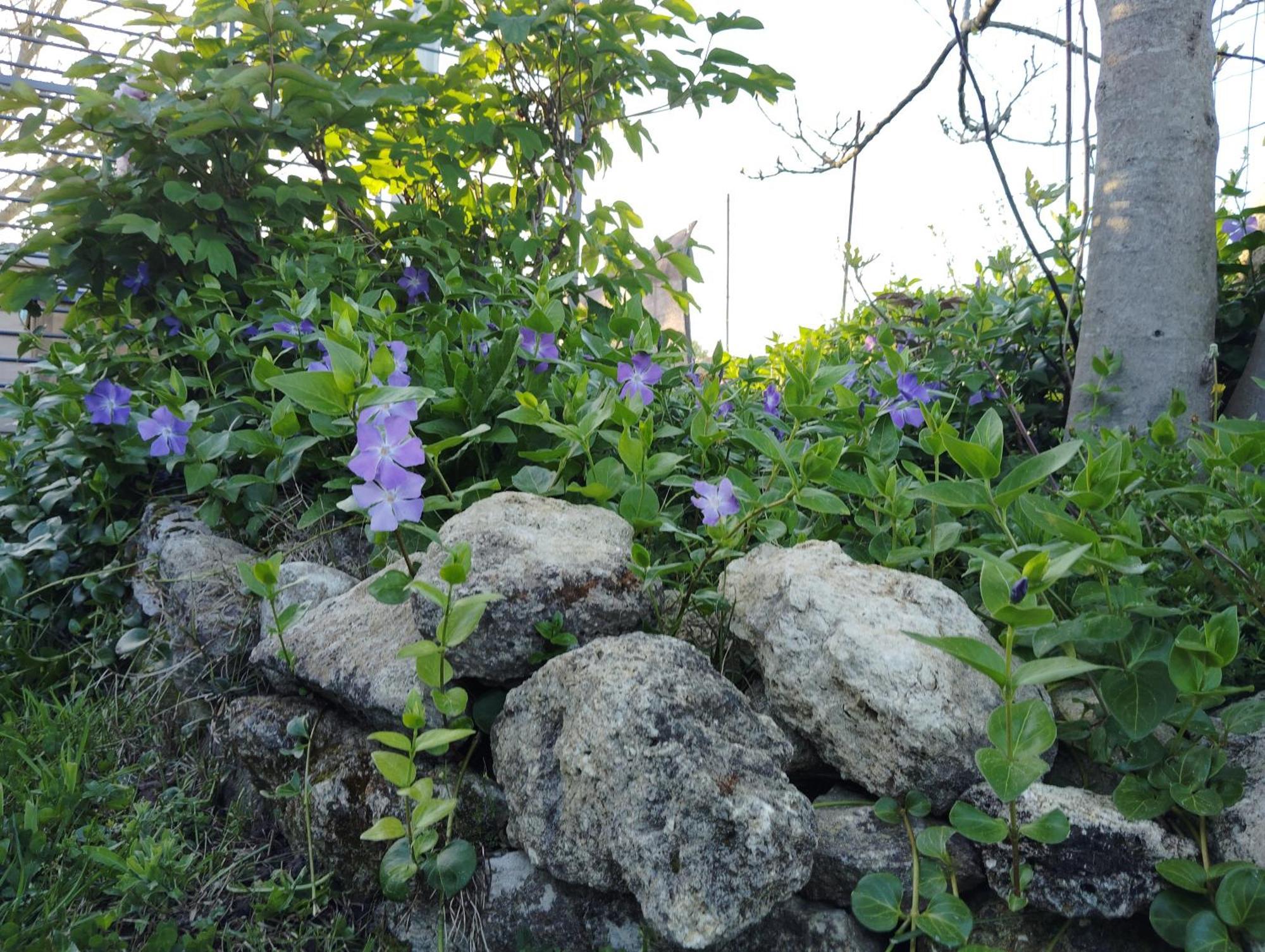 Gite L'Edenwine Doulezon Екстериор снимка
