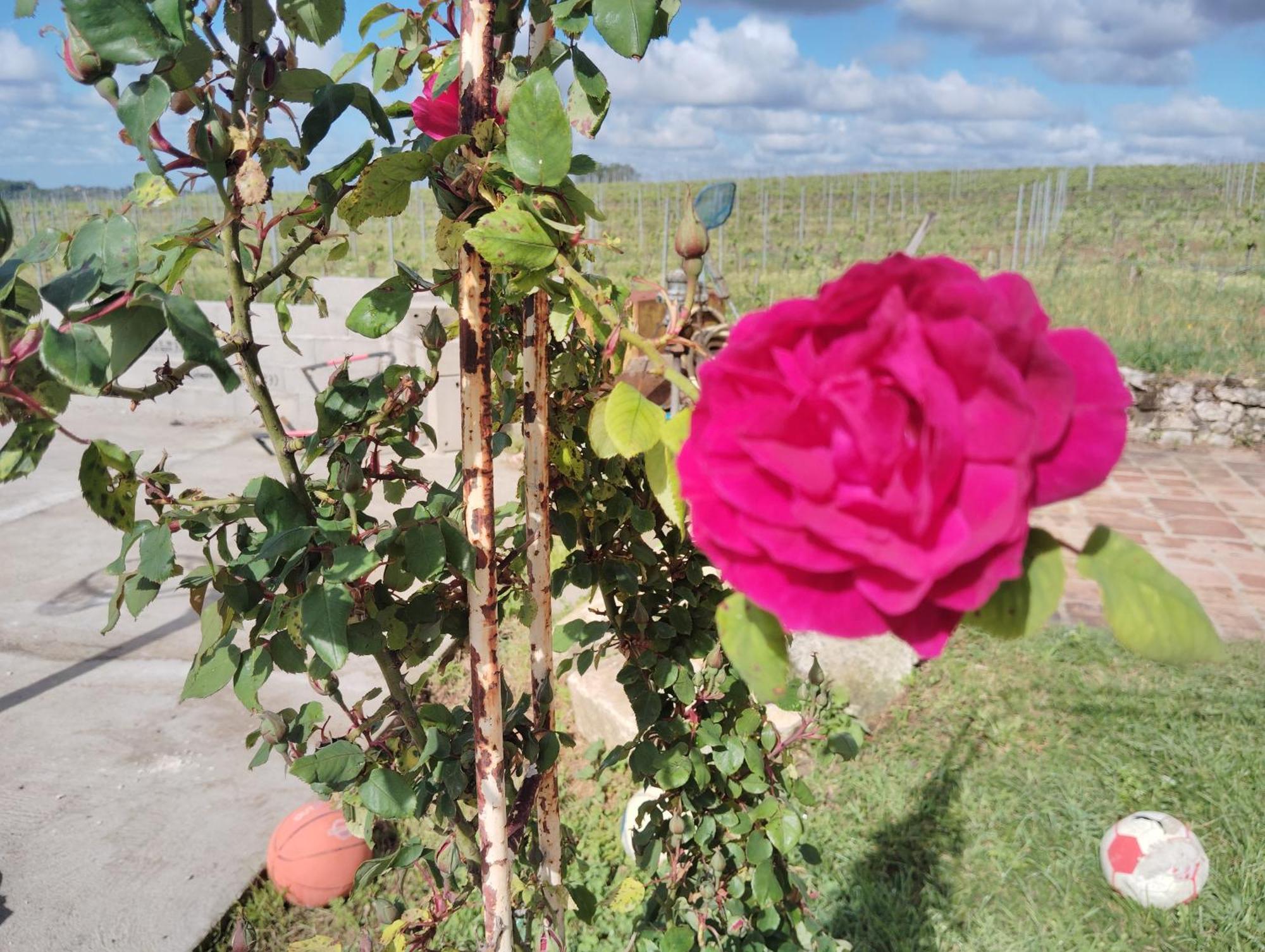 Gite L'Edenwine Doulezon Екстериор снимка